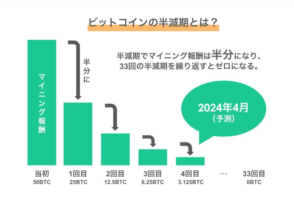 半減期　回数